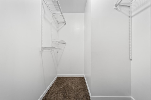 spacious closet with carpet