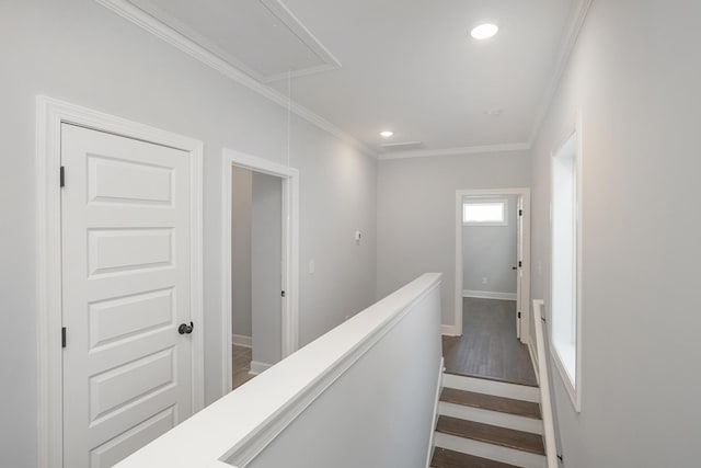 hallway featuring dark hardwood / wood-style flooring and ornamental molding