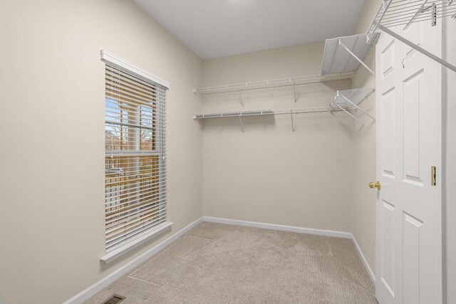 spacious closet with light colored carpet