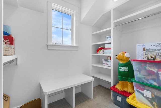 spacious closet featuring carpet flooring