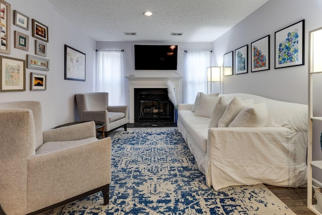 living room featuring hardwood / wood-style floors and a textured ceiling