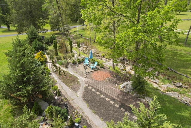 aerial view