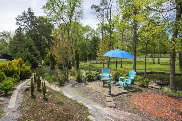 view of yard