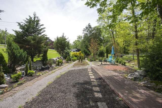 view of home's community