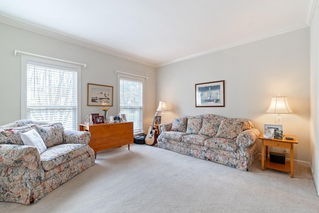 carpeted living room with crown molding