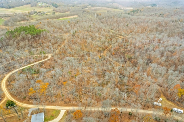 326 Hargis Rd, Bumpus Mills TN, 37028 land for sale