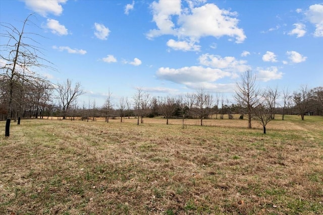 view of yard with a rural view