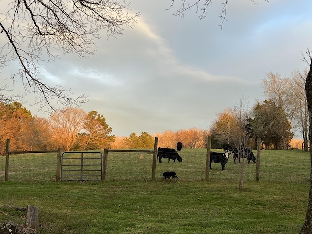 view of yard featuring a gate, fence, and a rural view