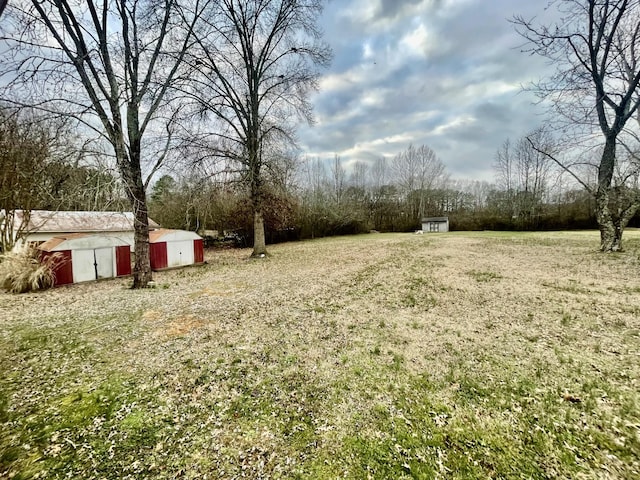 view of yard featuring a storage unit