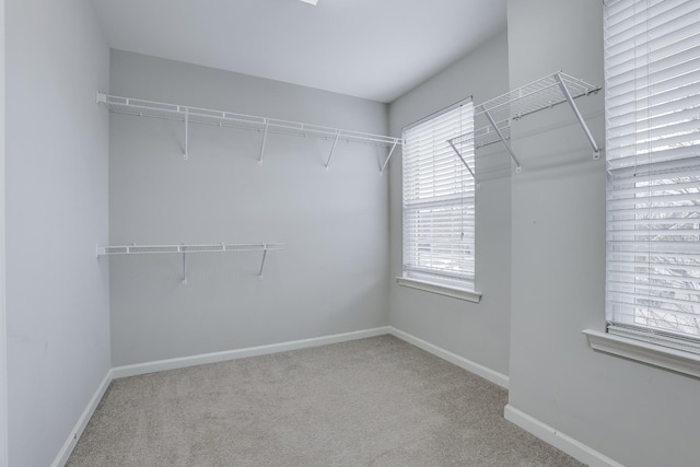 walk in closet with light colored carpet