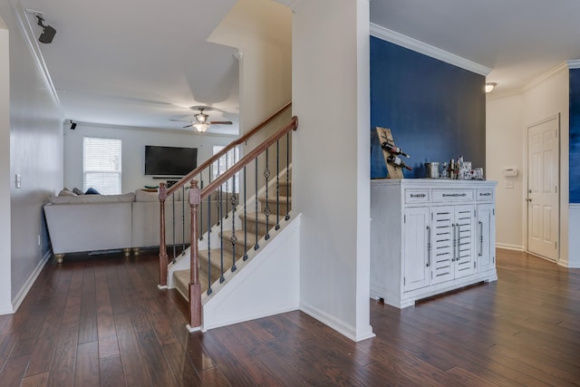 stairway featuring hardwood / wood-style flooring, crown molding, and ceiling fan