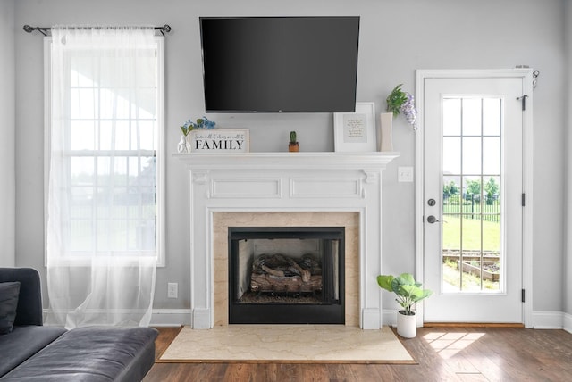 living room featuring hardwood / wood-style flooring and a fireplace