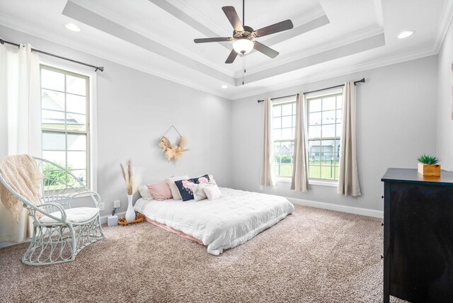 carpeted bedroom featuring ornamental molding, a raised ceiling, and multiple windows