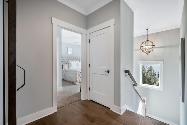 hallway with crown molding, dark hardwood / wood-style flooring, and a chandelier