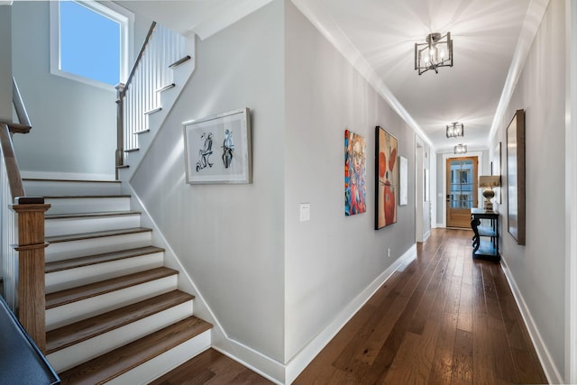 hallway featuring ornamental molding and dark hardwood / wood-style floors