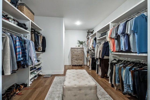 walk in closet with dark hardwood / wood-style flooring