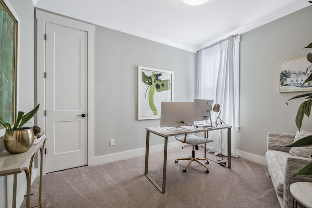 office featuring plenty of natural light and light colored carpet