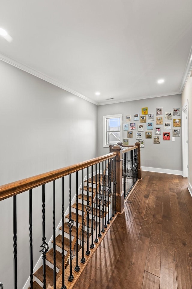 hallway featuring dark wood-type flooring and ornamental molding