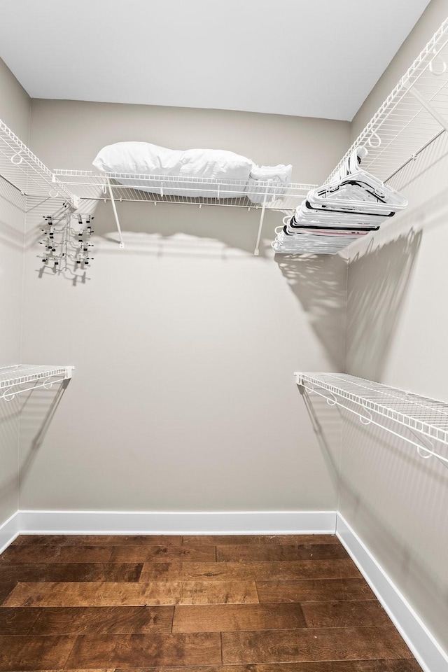 spacious closet featuring dark hardwood / wood-style floors