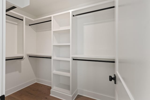 spacious closet with a barn door and dark wood-type flooring