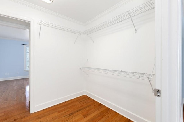 spacious closet with wood-type flooring