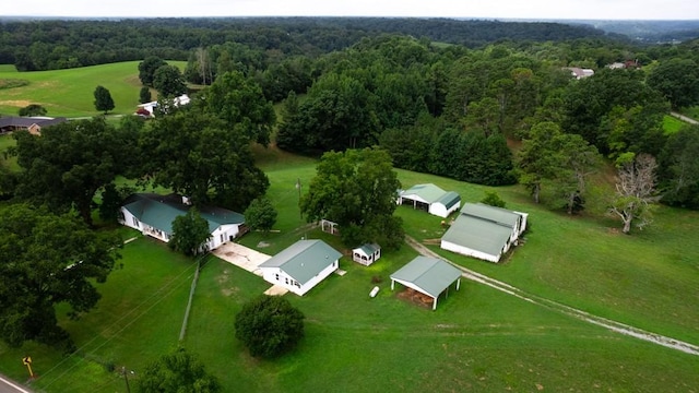 bird's eye view