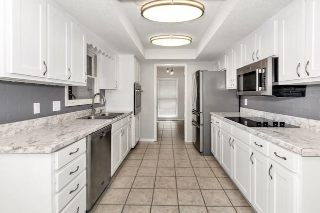 kitchen featuring a raised ceiling, white cabinetry, appliances with stainless steel finishes, and sink