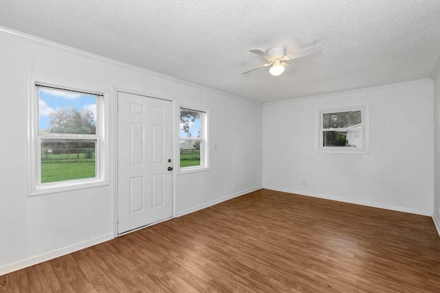 entrance foyer with crown molding, a wealth of natural light, a textured ceiling, and dark hardwood / wood-style flooring