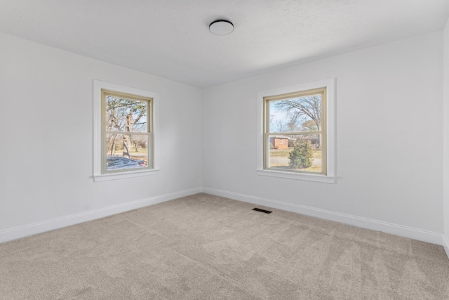 unfurnished room featuring carpet flooring and a wealth of natural light