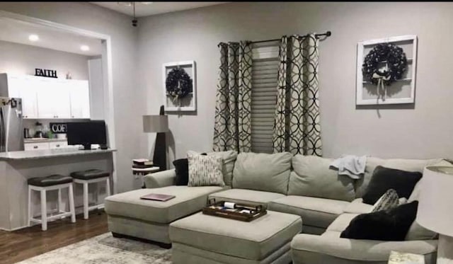 living room with dark wood-type flooring