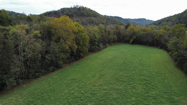 view of yard featuring a mountain view