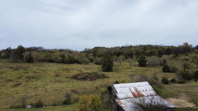 view of local wilderness with a rural view