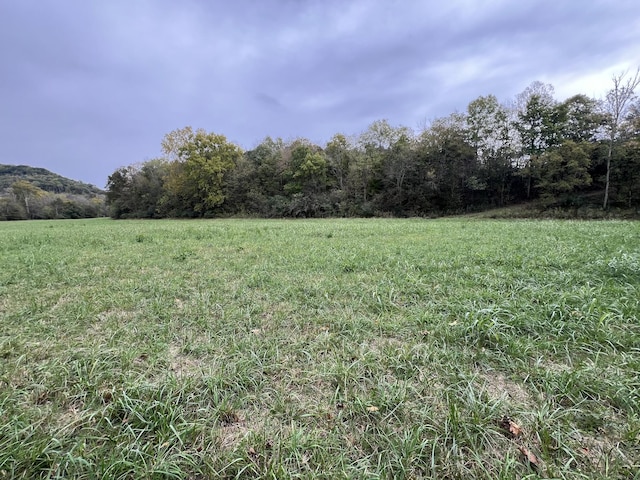 view of yard with a rural view