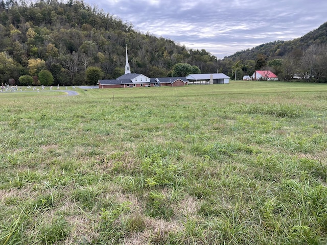 view of yard featuring a mountain view and a rural view