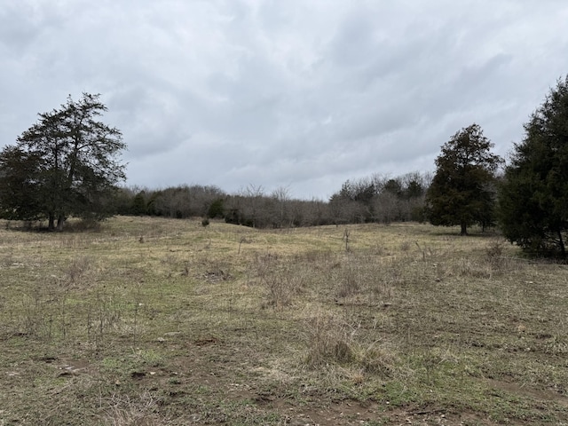 view of nature featuring a rural view