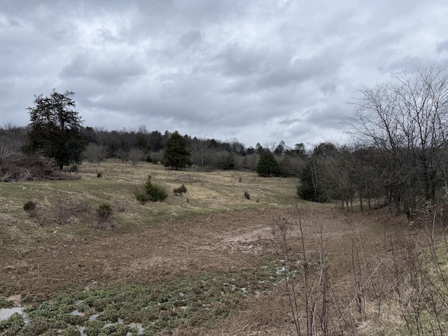 view of landscape with a rural view