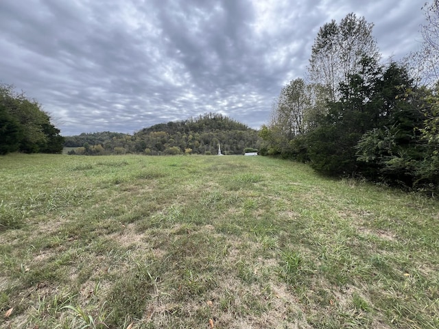 view of yard featuring a rural view