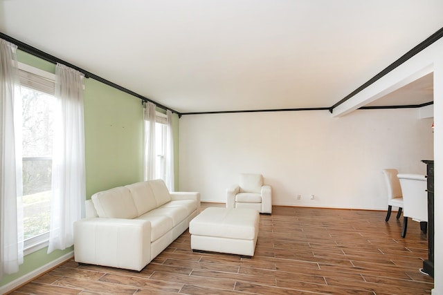 living room featuring ornamental molding