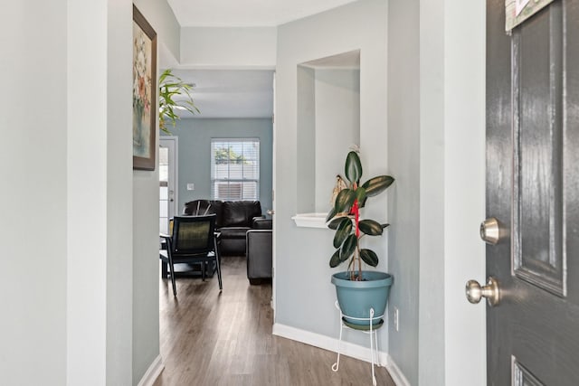 foyer featuring hardwood / wood-style floors