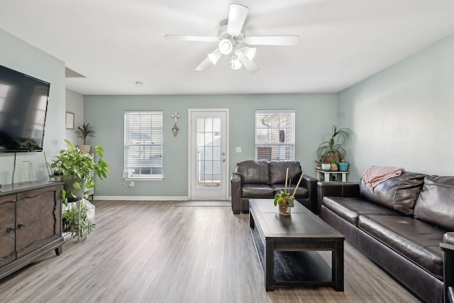 living room featuring ceiling fan and light hardwood / wood-style flooring