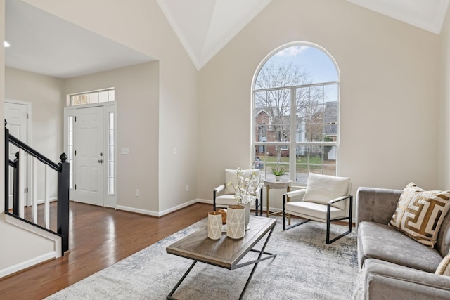 living room featuring dark hardwood / wood-style flooring and high vaulted ceiling