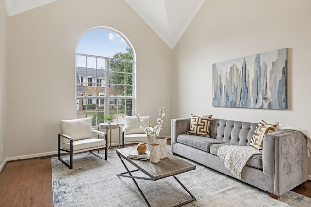 living room featuring hardwood / wood-style floors and high vaulted ceiling