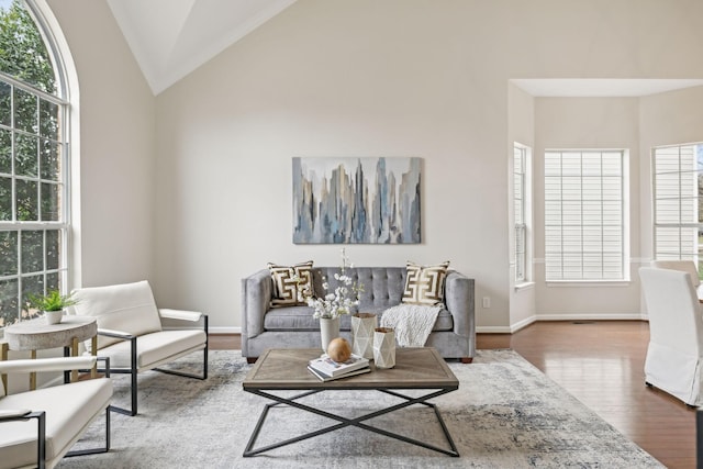 living room with hardwood / wood-style flooring, a healthy amount of sunlight, and vaulted ceiling