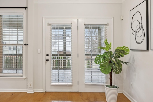 entryway with wood-type flooring and a wealth of natural light