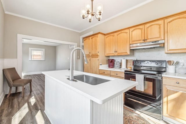 kitchen featuring sink, dark wood-type flooring, black electric range, an island with sink, and decorative light fixtures