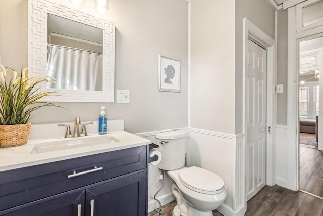 bathroom featuring vanity, hardwood / wood-style flooring, and toilet