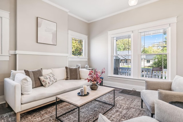 living room featuring dark wood-type flooring and ornamental molding