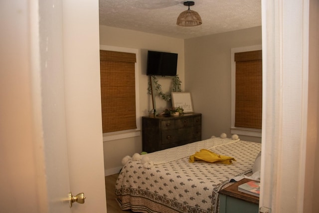 bedroom featuring a textured ceiling