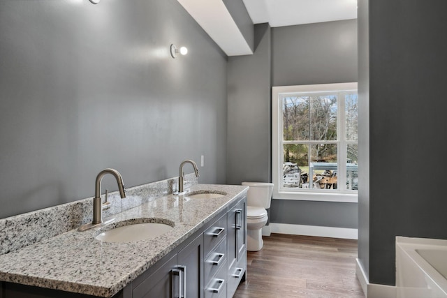 bathroom featuring vanity, hardwood / wood-style floors, and toilet