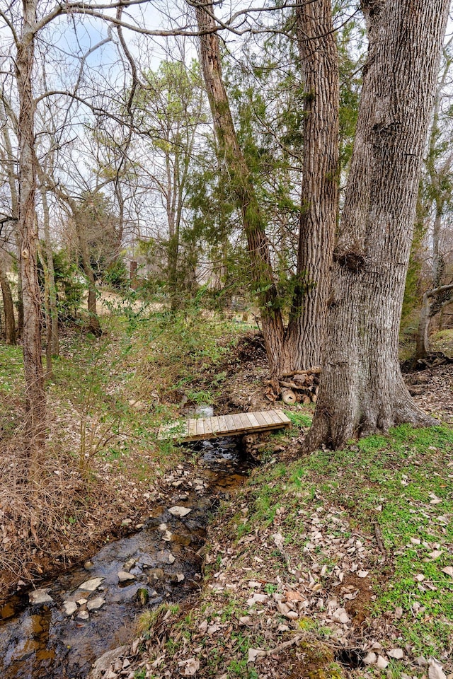 view of nature